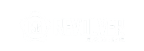 Revolver
